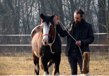 Recuperiamo il nostro benessere... a cavallo